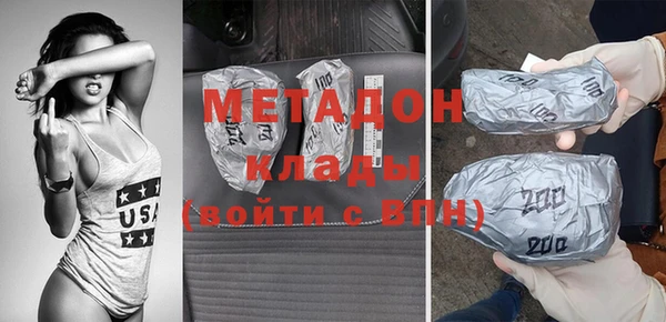 шишки Няндома